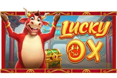 betcity